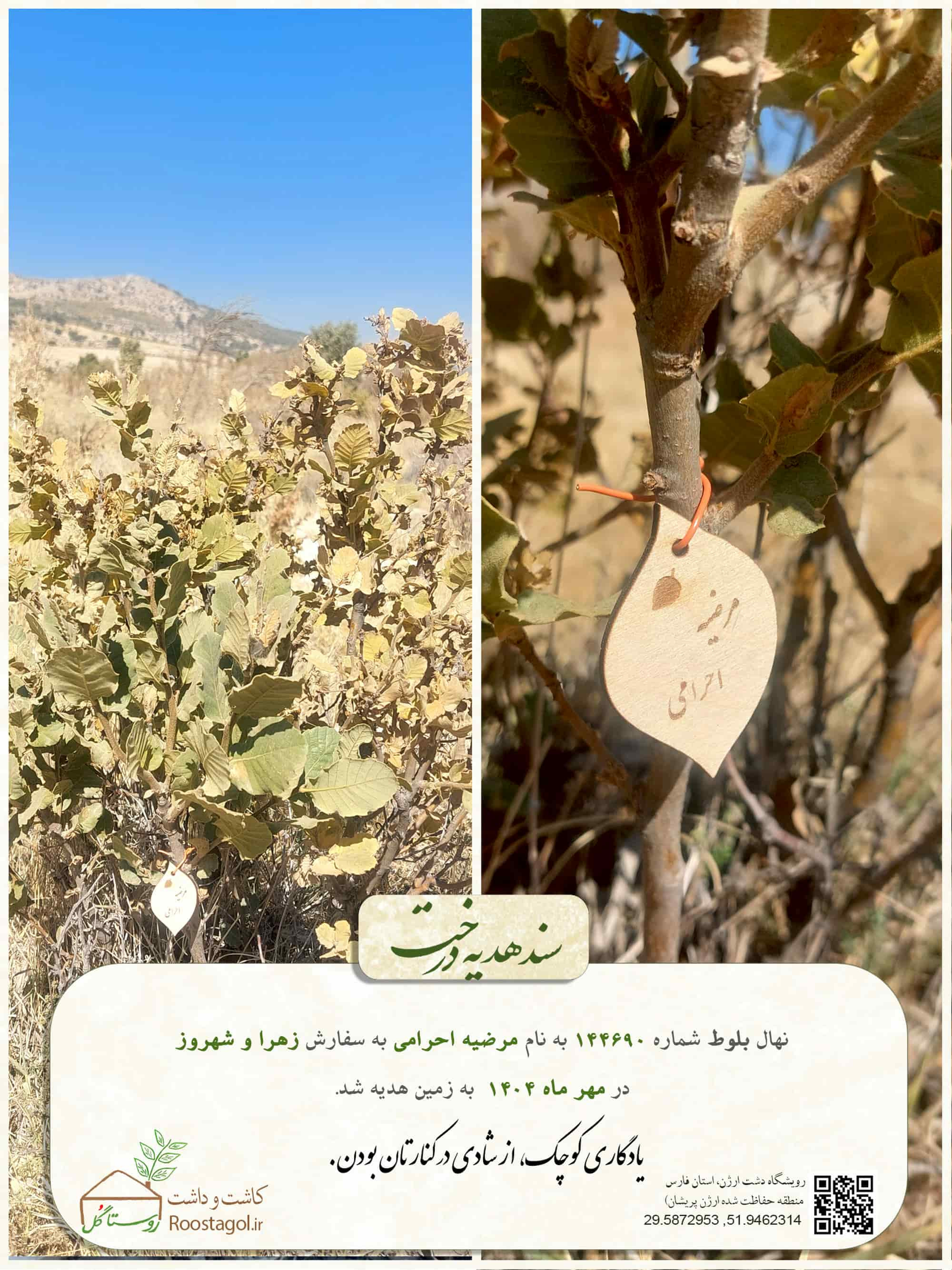 مرضیه احرامی